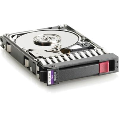 300GB 10K 6G 2 5 SAS DP HDD