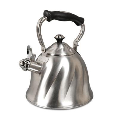 Mr.Coffee Alderton Kettle SS