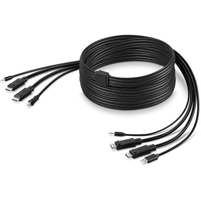 Dual head DP USB Adudio