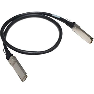 X240 40G QSFP+ QSFP+ 1m DA