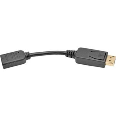 DisplayPort to HDMI Adapter