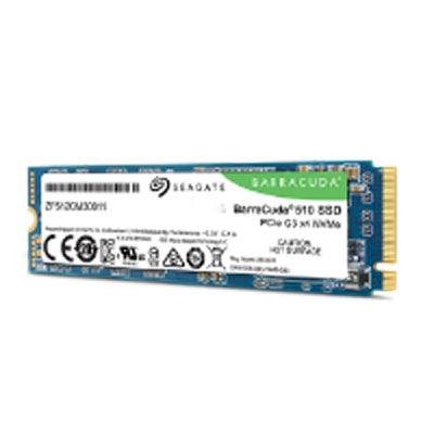 256GB BarraCuda 510 SSD NVMe