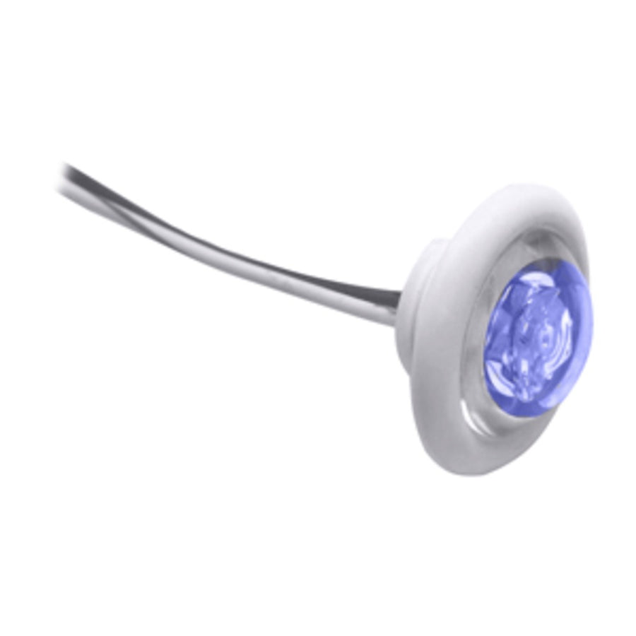 Innovative Lighting Led Bulkhead/livewell Light The Shortie Blue Led W/ White Grommet