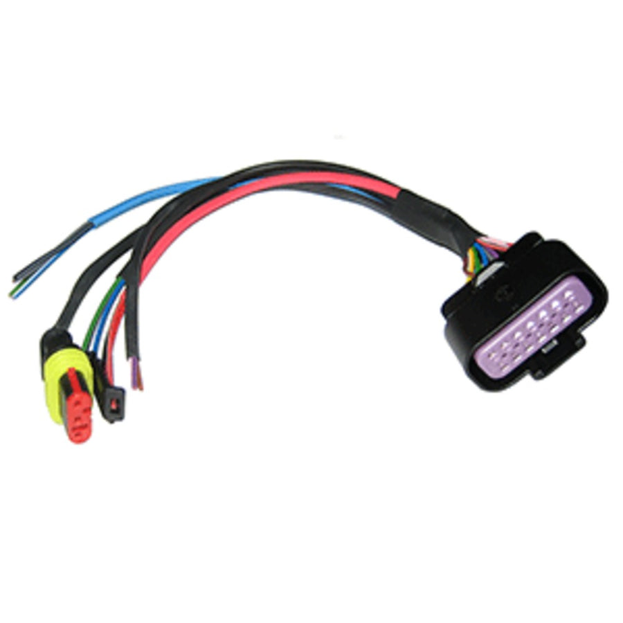 Vdo Input Harness To Master - Supports Can & Two Analog Inputs