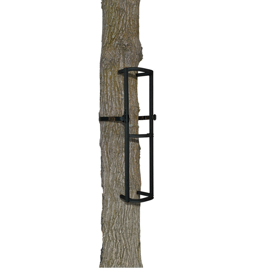 Muddy Stagger-steps - 31in X 9in