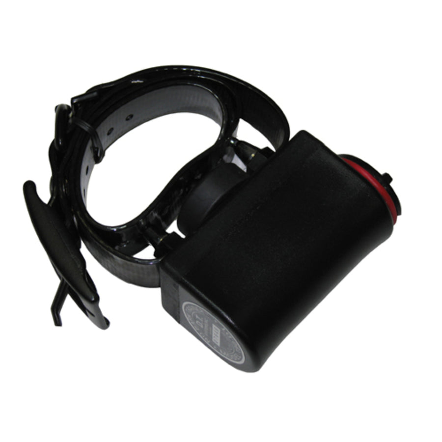 D.t. Systems 190dt No Bark Trainer