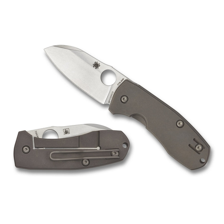 Spyderco Techno 2 Folder 2.55 In Plain Titanium Handle