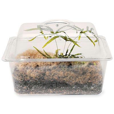 1 1/2 gal. Flex-Tank w/ Domed Cover (11
