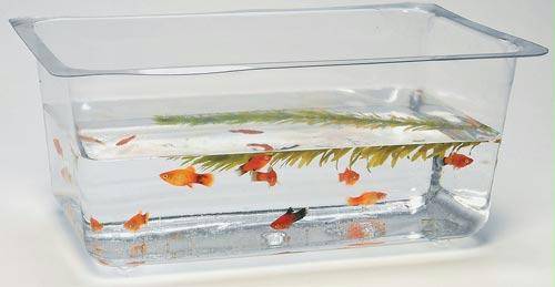 1 1/2 gal. Flex-Tank only (11