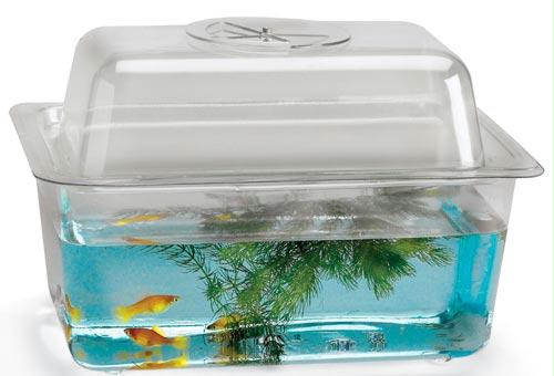 1 1/2 gal. Domed Cover w/ Dial Ventilator (10 1/2