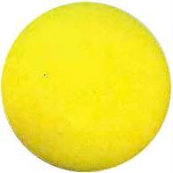 Champion Sports Medium Density Foam Ball - 6