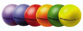 Champion Sports Rhino Skin Special Balls - 8.25