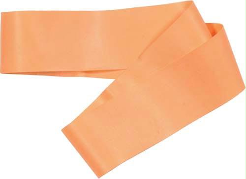 Fitness Loop - Light/Medium Resistance