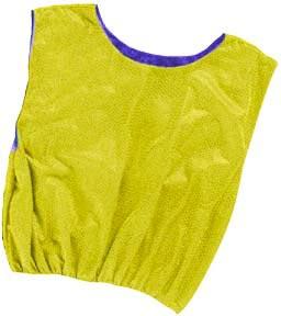 Reversible Scrimmage Vest (blue/yellow)