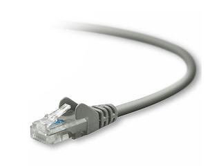 Belkin Components Patch Cable - Rj-45 (m) - Rj-45 (m) - 100 Ft - ( Cat 5e )