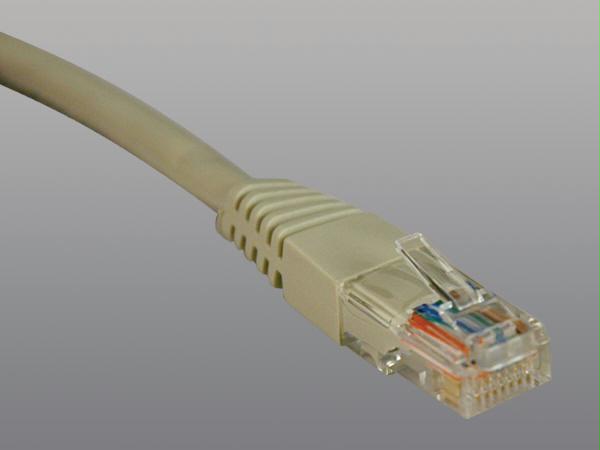Tripp Lite 1ft Cat5e / Cat5  350mhz Molded Patch Cable Rj45 M/m Gray 1ft