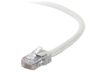 Belkin Components Patch Cable - Rj-45 (m) - Rj-45 (m) - 14 Ft - Utp - ( Cat 5e ) - White