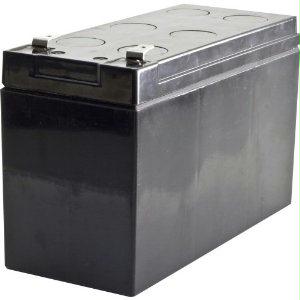 Minuteman Ups 12 Volt 12 Amp/hour