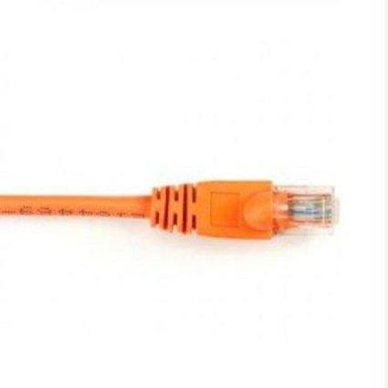 Black Box Cat6 Patch Cables Orange
