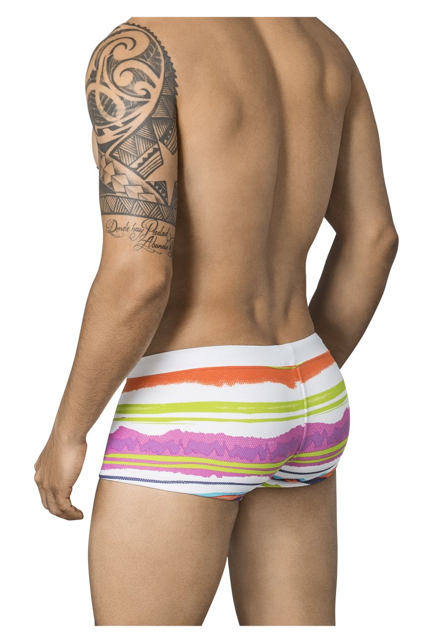 Free Soul Swim Briefs