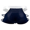 Briefs
