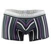 Boxer Briefs Sanscrito