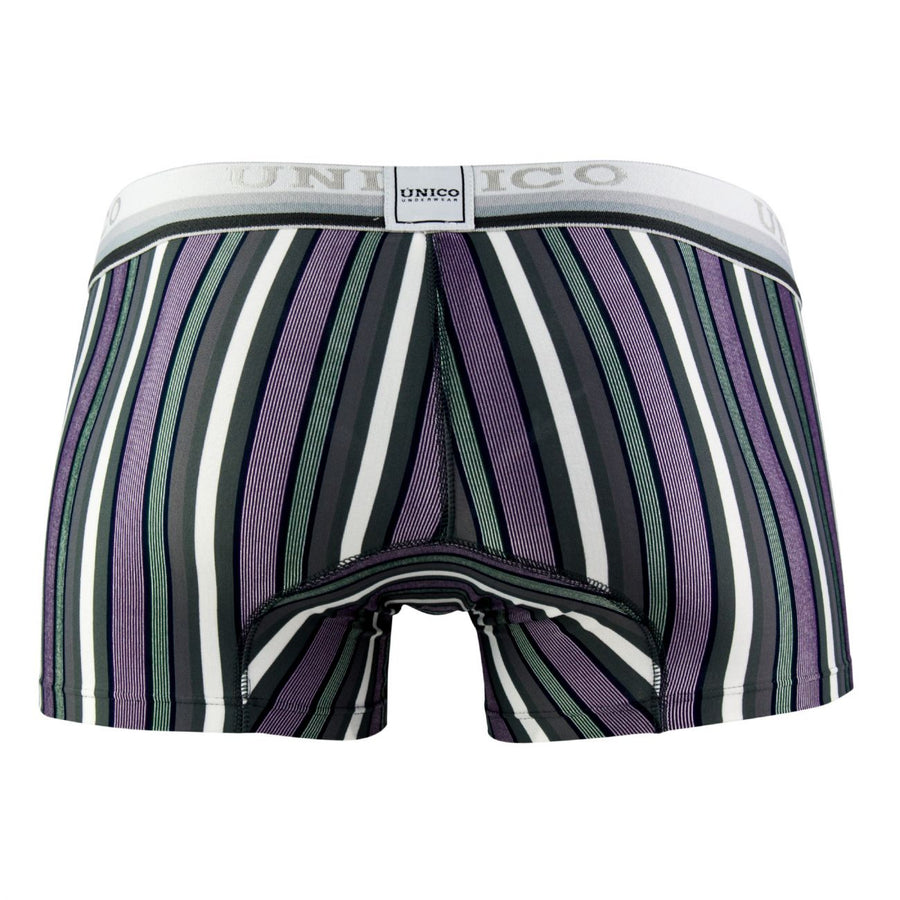 Boxer Briefs Sanscrito