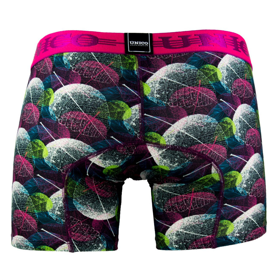 Boxer Briefs Seed