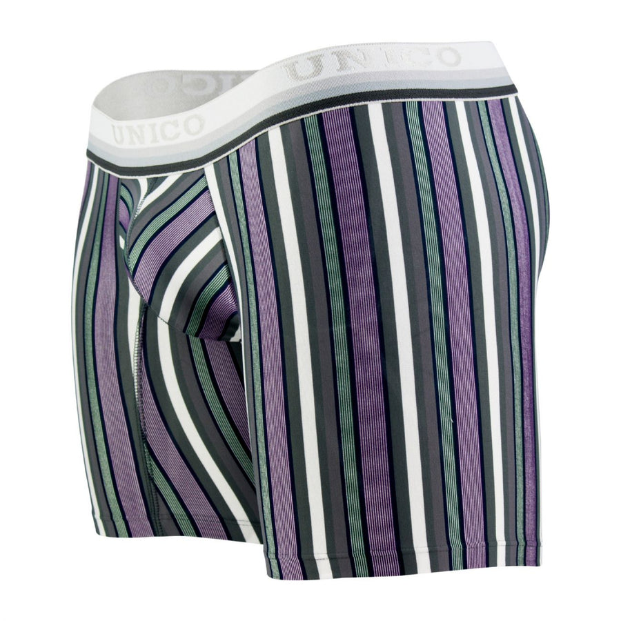 Boxer Briefs Sanscrito