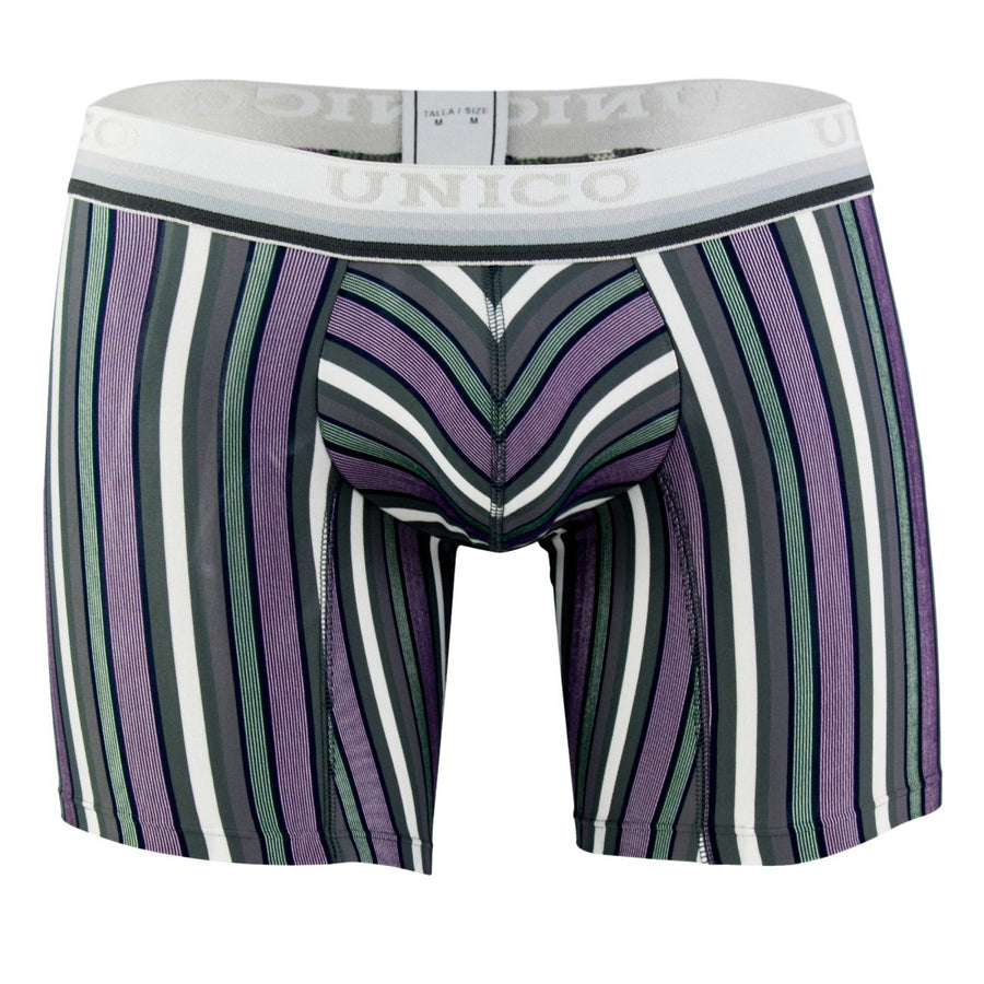 Boxer Briefs Sanscrito