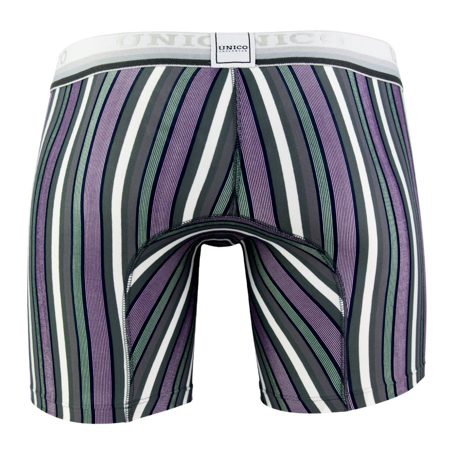 Boxer Briefs Sanscrito