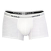 Magnificent Boxer Briefs