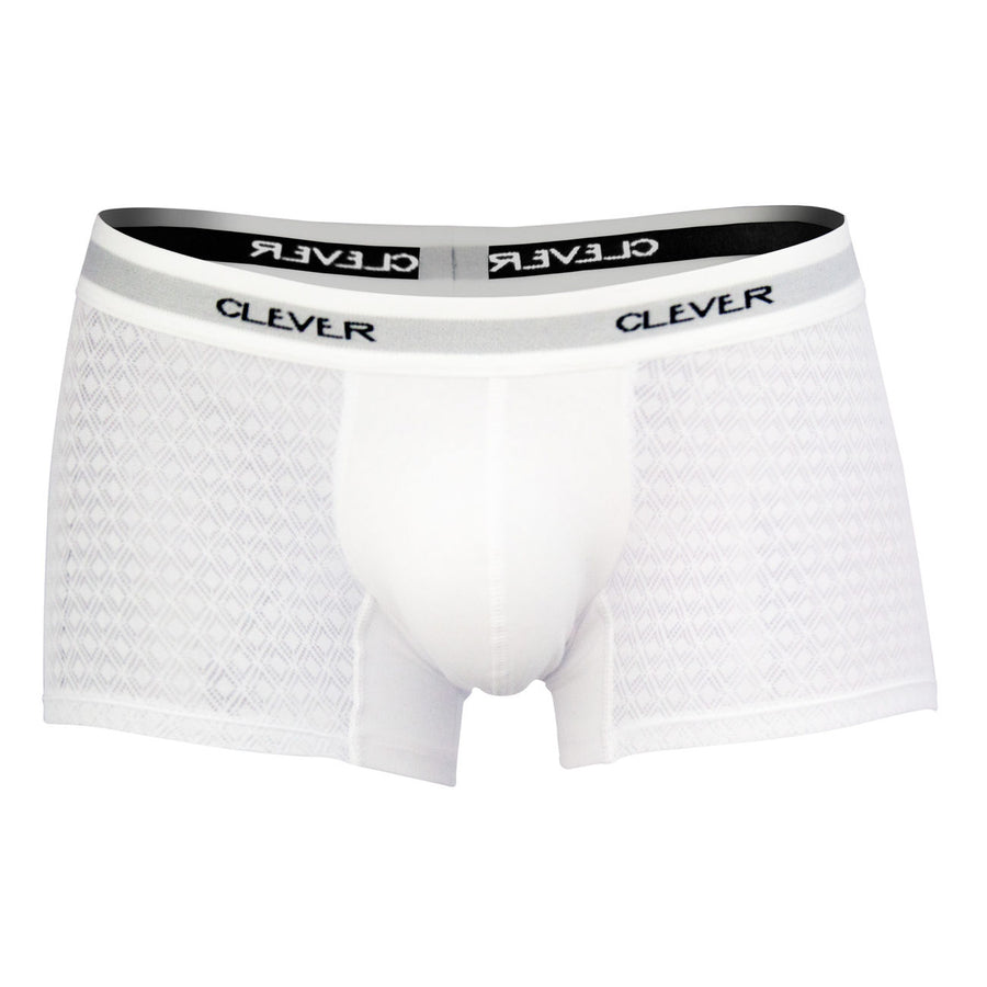 Magnificent Boxer Briefs