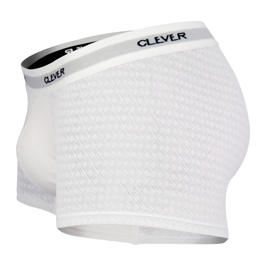 Magnificent Boxer Briefs