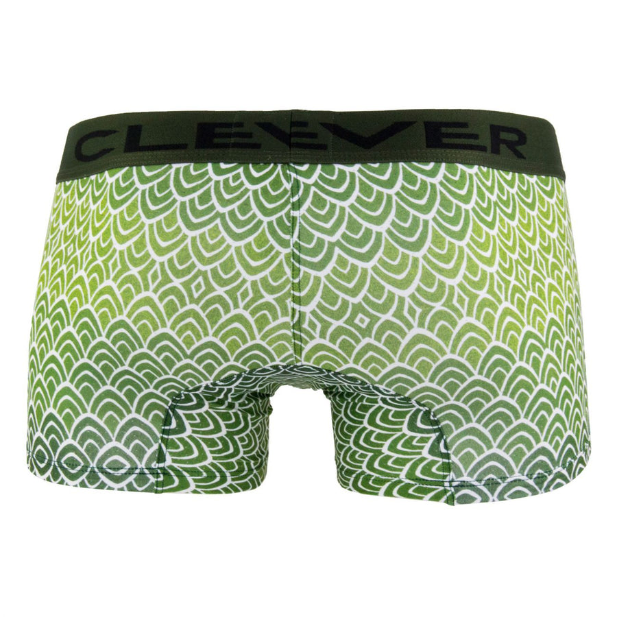 Mask Boxer Briefs
