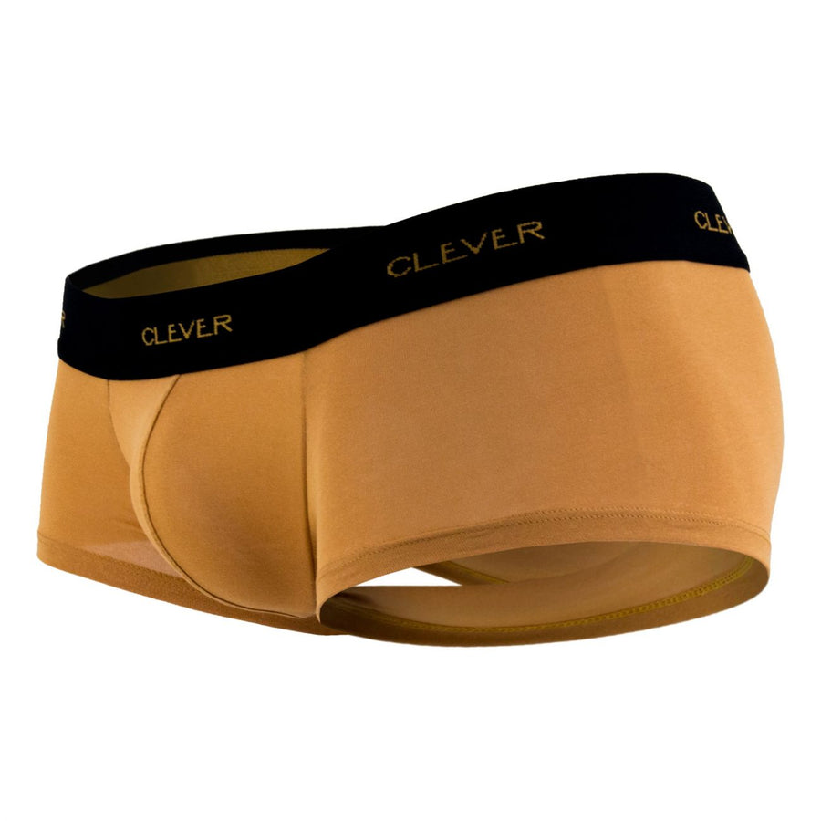 Conservative Latin Boxer Briefs