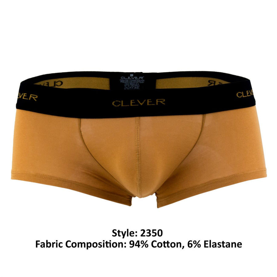 Conservative Latin Boxer Briefs