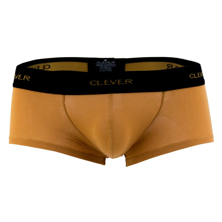Conservative Latin Boxer Briefs