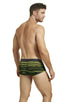 Briefs