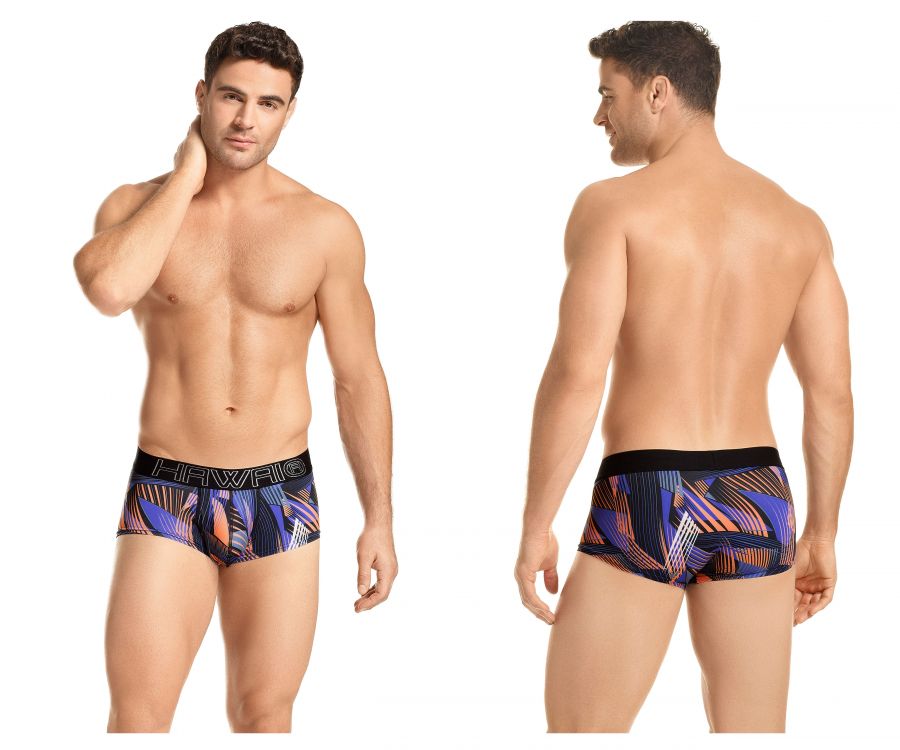 Briefs