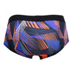 Briefs