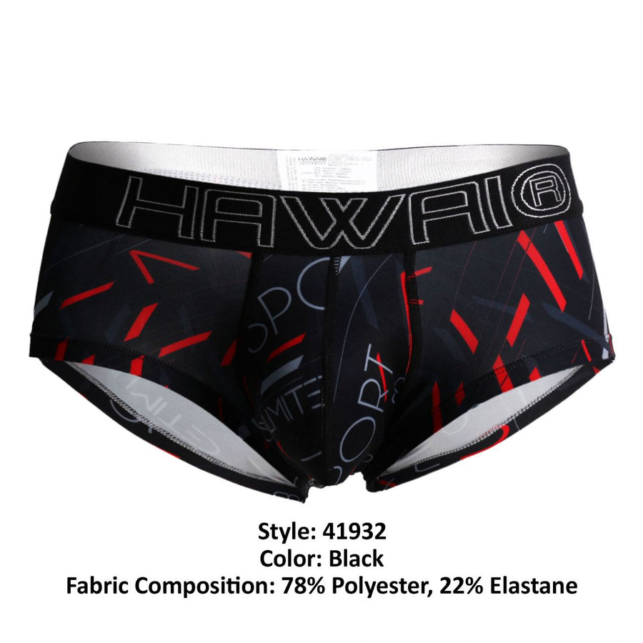 Briefs