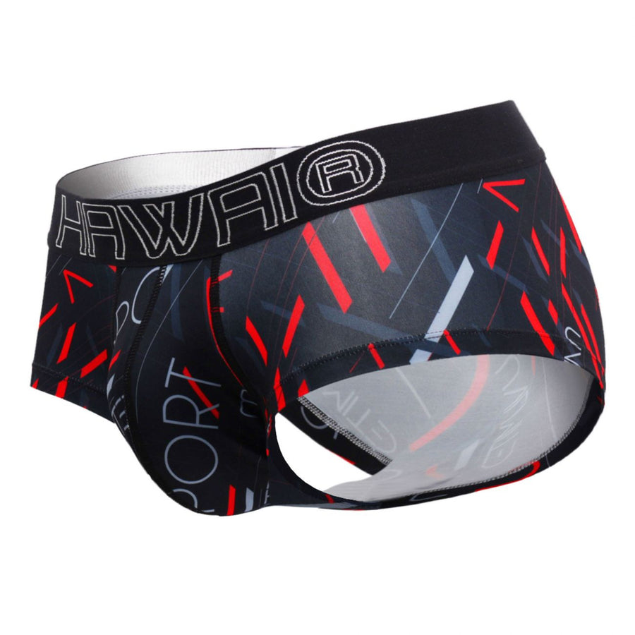 Briefs
