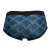 Briefs
