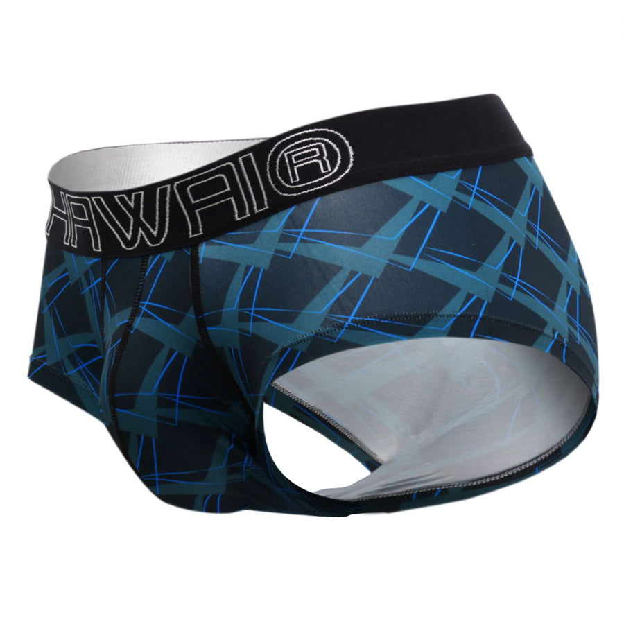Briefs