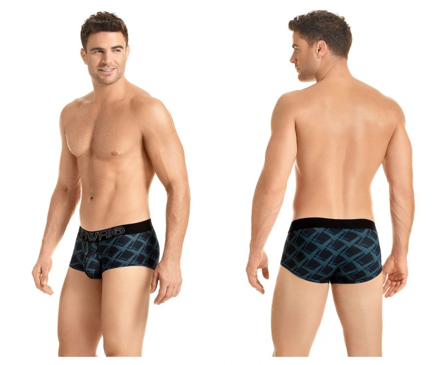 Briefs