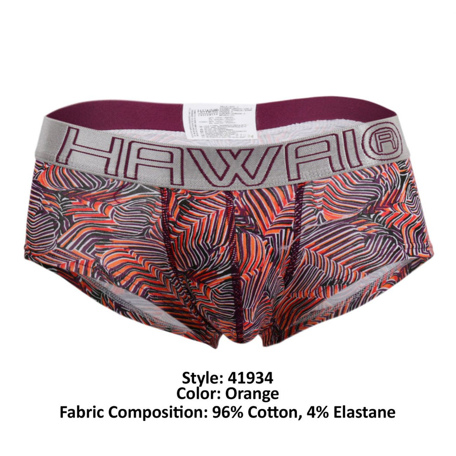 Briefs