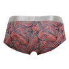Briefs