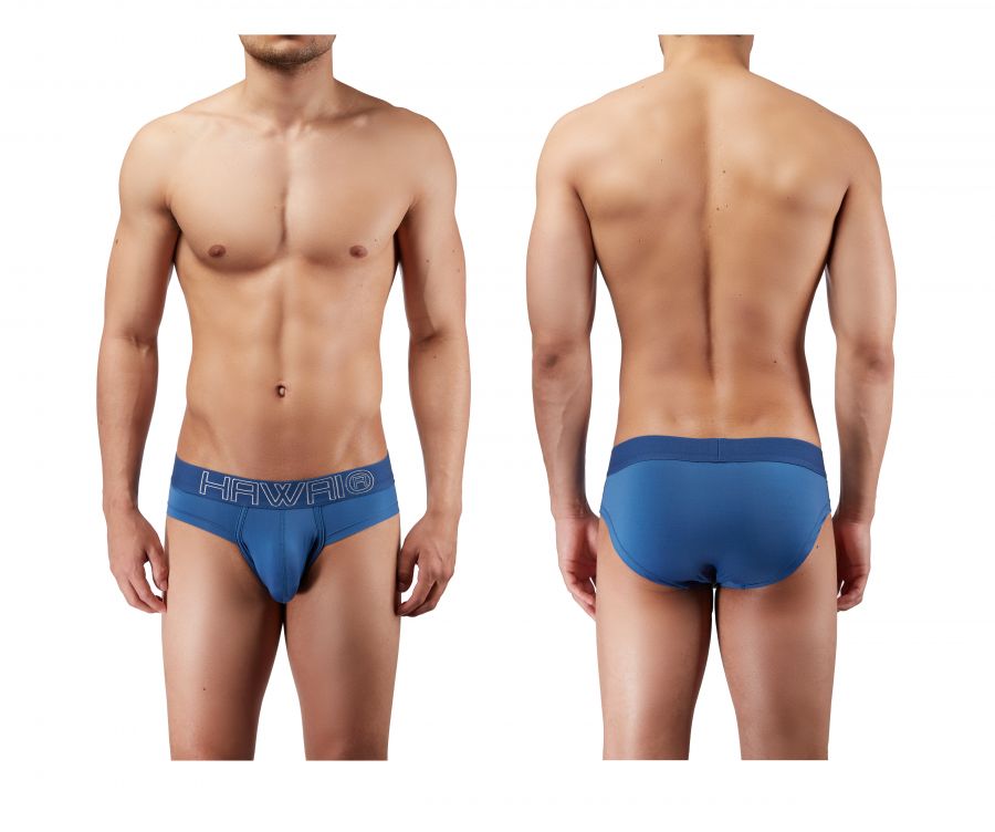 Briefs