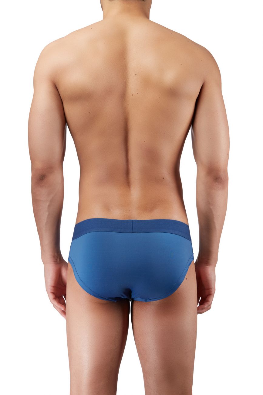 Briefs
